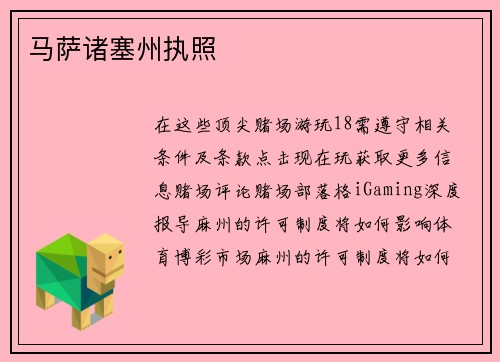 马萨诸塞州执照 